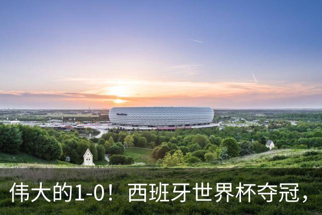 伟大的1-0！西班牙世界杯夺冠，神兵复制小白绝杀，梅西无缘金靴