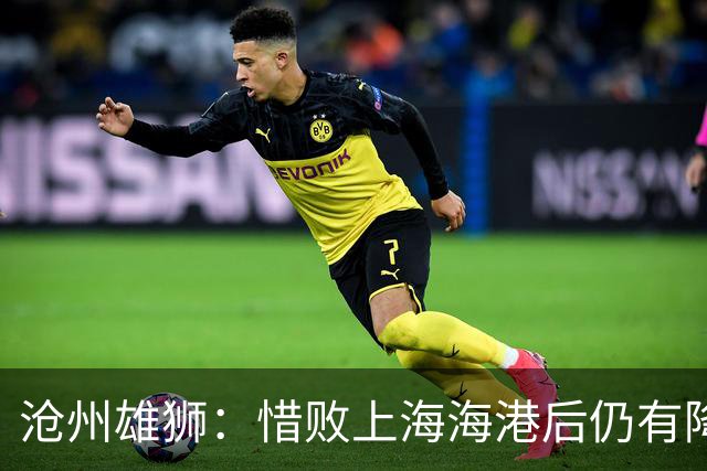 沧州雄狮：惜败上海海港后仍有降级风险