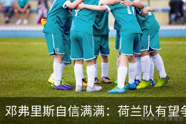 邓弗里斯自信满满：荷兰队有望争夺世界杯冠军，关键在于细节处理