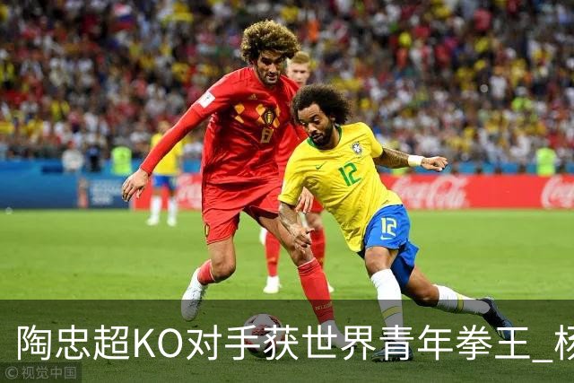 陶忠超KO对手获世界青年拳王 杨永强苦胜越老将
