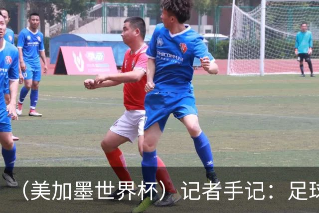 （美加墨世界杯）记者手记：足球在美国，熟悉又陌生