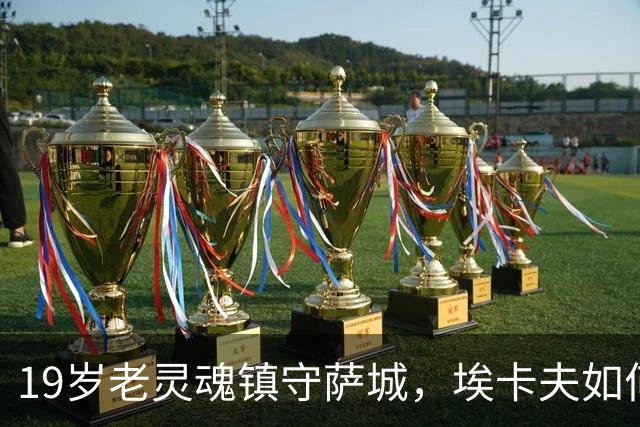 19岁老灵魂镇守萨城，埃卡夫如何用90年代复古范重塑国王未来？