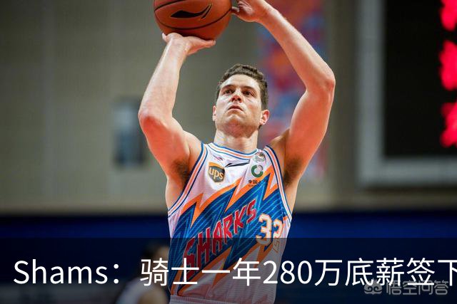 Shams：骑士一年280万底薪签下31岁克罗地亚前锋海佐尼亚 曾效力NBA五年后重返